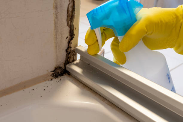 Best Office Mold Removal Services  in Woodway, TX