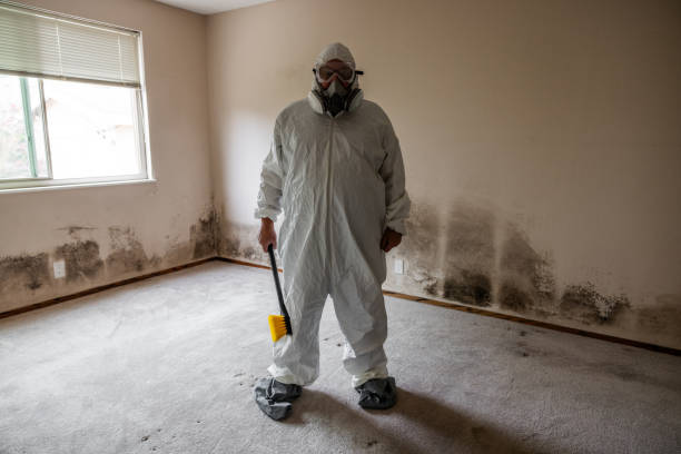 Best Certified Mold Removal  in Woodway, TX