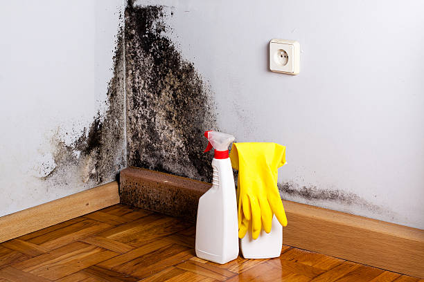 Best Mold Remediation Services  in Woodway, TX